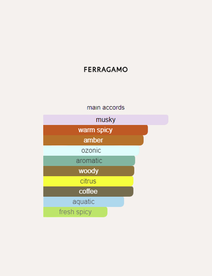 Salvatore Ferragamo Uomo Casual Life