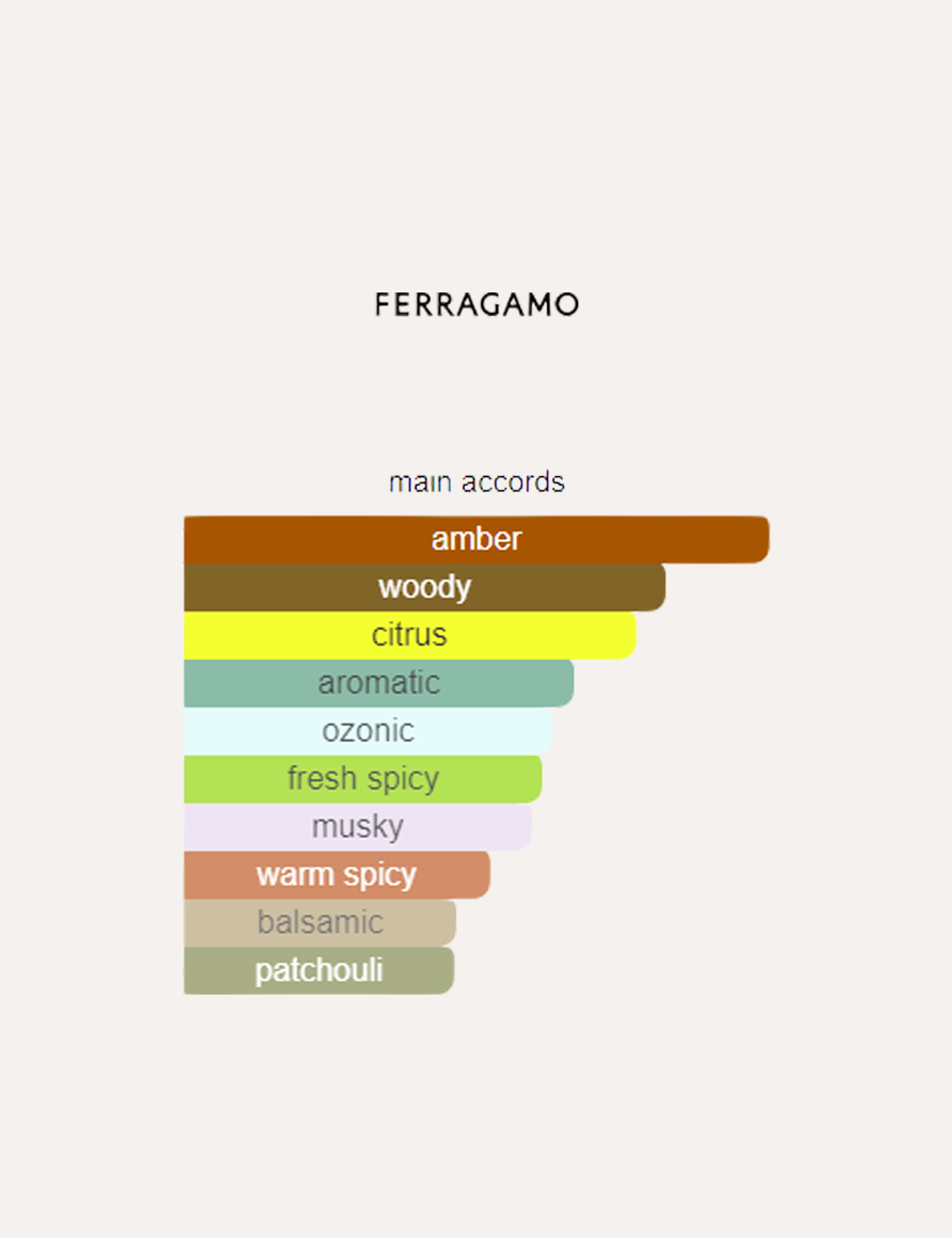 Salvatore Ferragamo Uomo Urban Feel